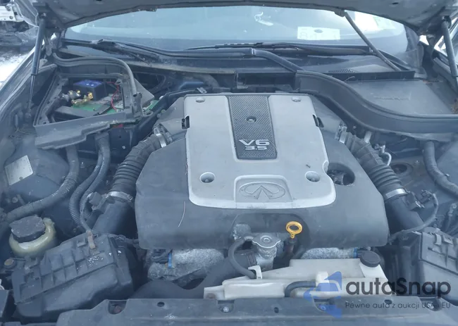 JNKBV61F58M250417: 44243290