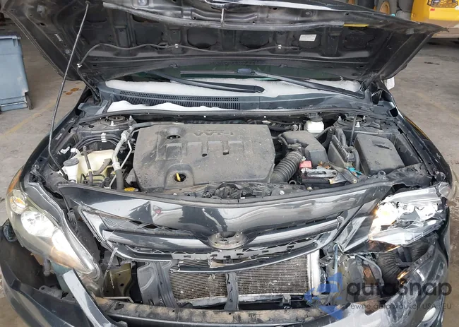 2T1BU4EE2BC738044: 44243336