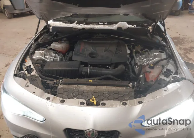 ZARFAMBNXL7640449: 44243646