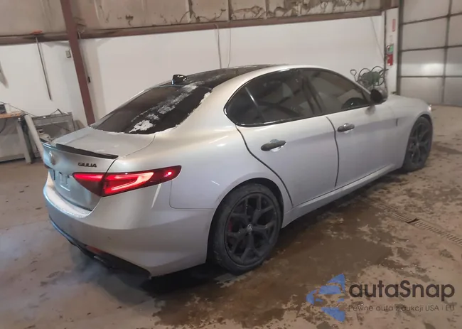 ZARFAMBNXL7640449: 44243646