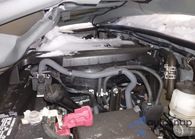 3TMCZ5ANXPM544362: 44243072