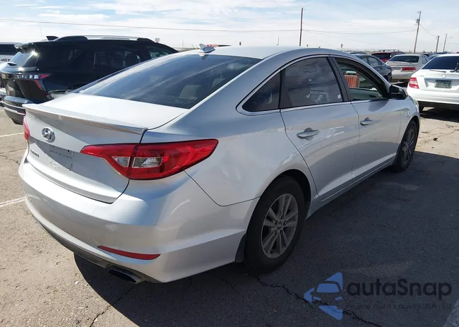 5NPE24AF8FH216894: 44243160