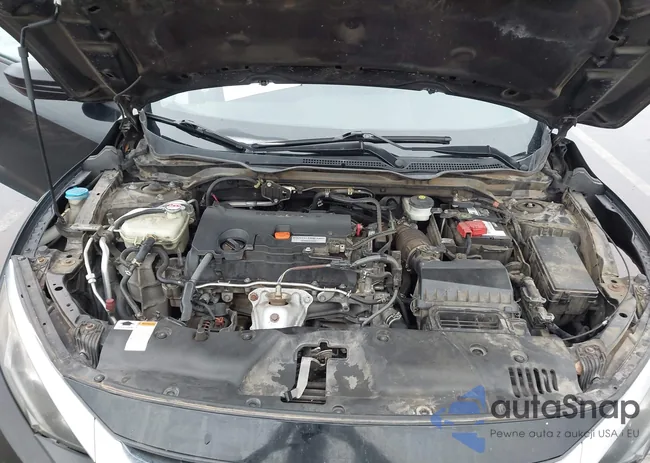 19XFC2F59GE208931: 44244247