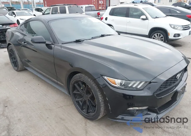 1FA6P8TH4G5273855: 44244277