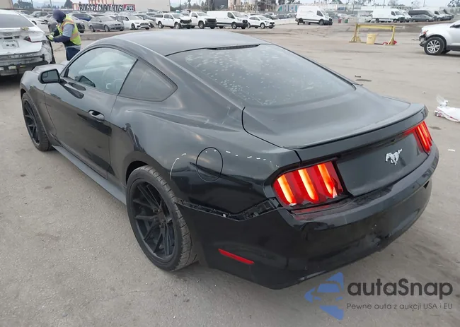 1FA6P8TH4G5273855: 44244277