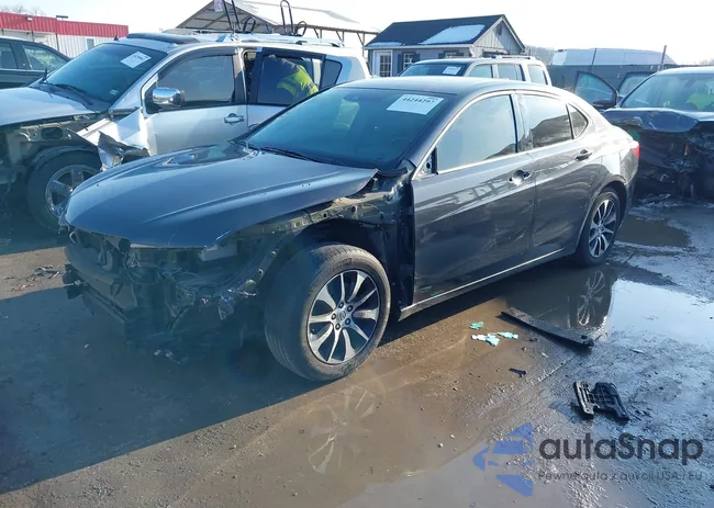 19UUB1F54FA019319: 44244297