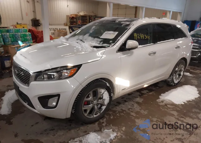 5XYPKDA51HG262917: 44244300