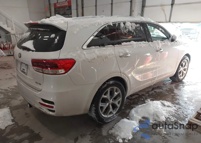 5XYPKDA51HG262917: 44244300