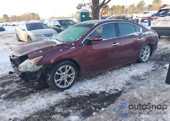 1N4AA5AP0DC847332: 44244410