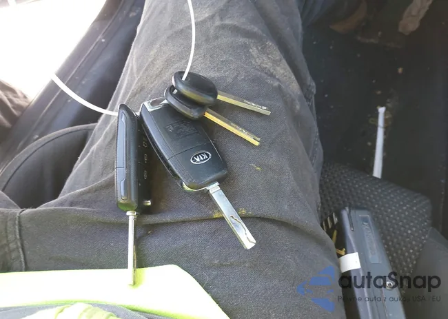 5XXGT4L33KG287807: 44244509