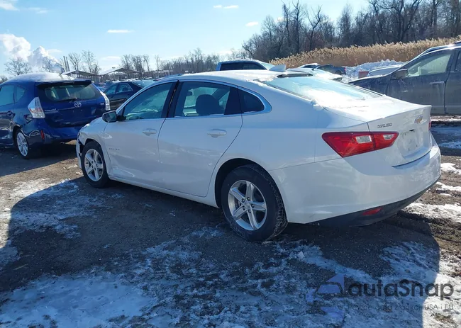 1G1ZD5ST7PF237553: 44244526