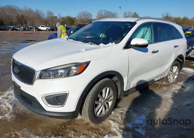 5XYPG4A39HG254595: 44244549