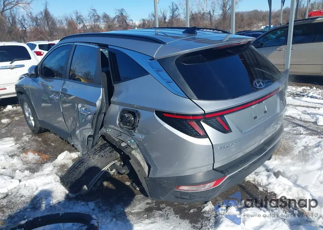 5NMJBCAE6PH217041: 44244003