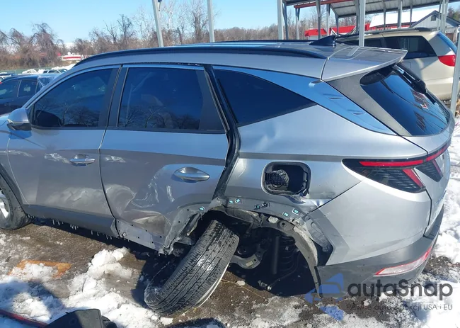 5NMJBCAE6PH217041: 44244003