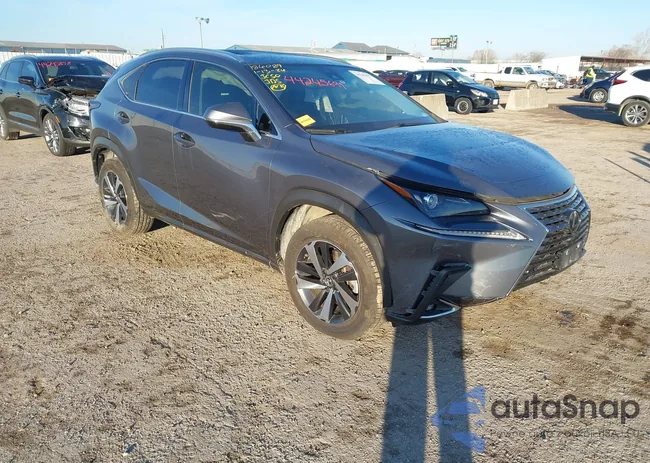 JTJYARBZ7J2104472: 44245697