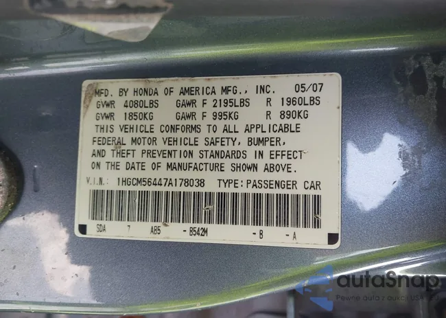 1HGCM56447A178038: 44244901