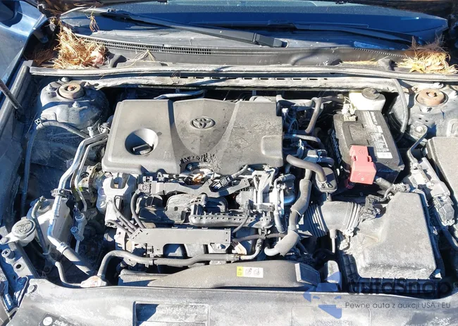 4T1C11AK9LU918435: 44244972