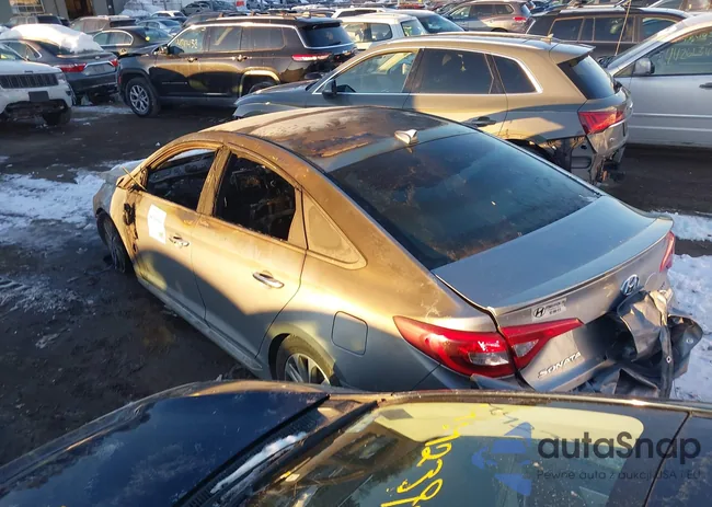 5NPE34AF0GH354119: 44245061