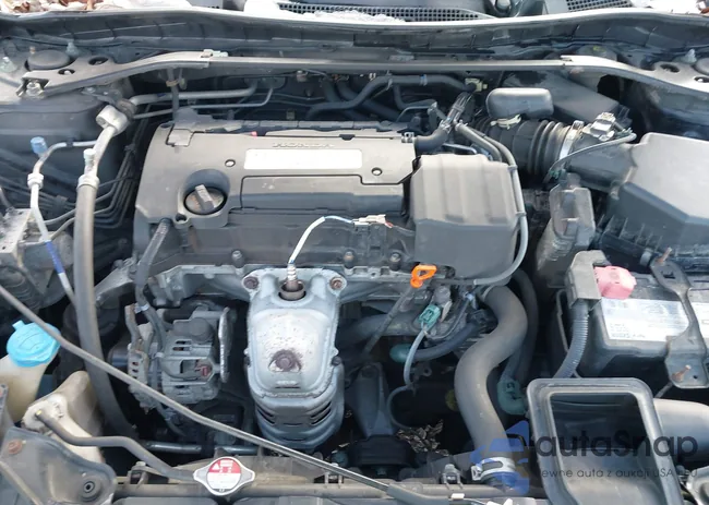 1HGCR2F70FA169894: 44246526