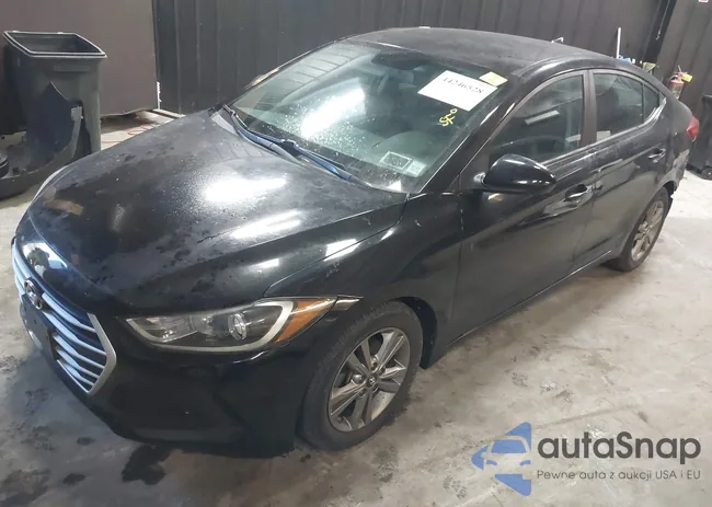 KMHD84LF5JU512313: 44246528