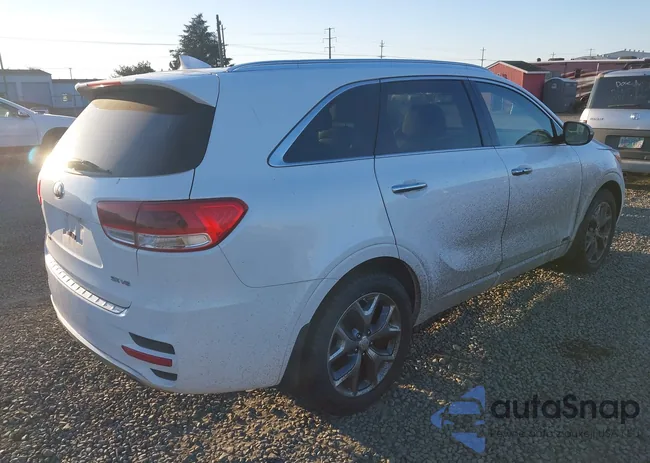 5XYPKDA50GG008565: 44246564