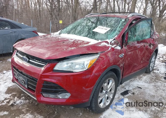 1FMCU0J94GUC54985: 44246788