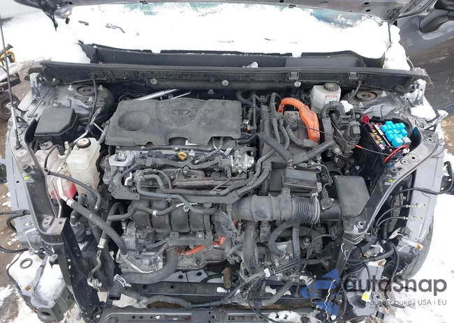 4T3E6RFV4PU109837: 44245946