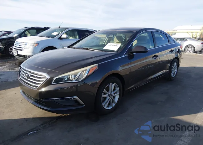 5NPE24AF4FH191704: 44246094