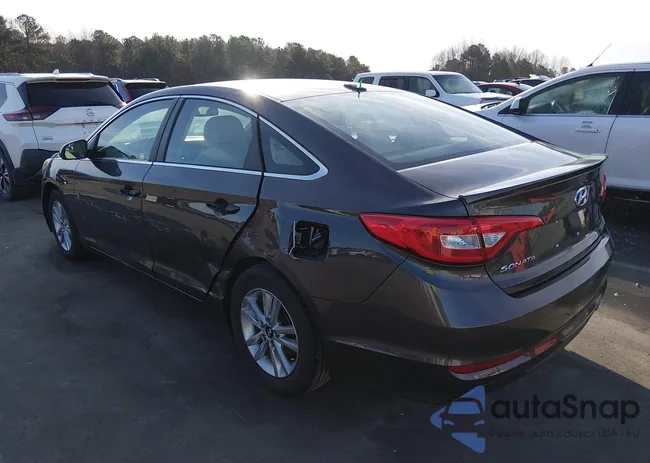 5NPE24AF4FH191704: 44246094