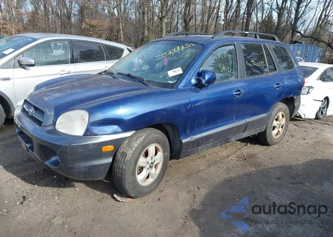 KM8SC13E96U091750: 44247251