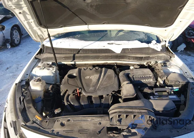 KNAGM4A75F5648044: 44247477