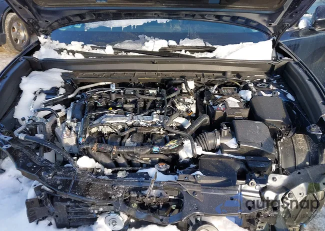 3MVDMBBM4SM867014: 44247558