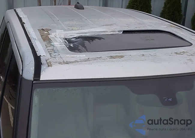 SALSH23496A952972: 44247659