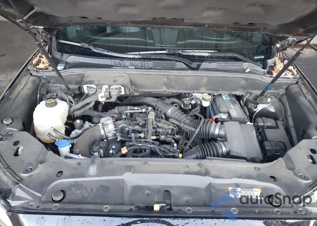 2LMPJ8LP9KBL66897: 44246894