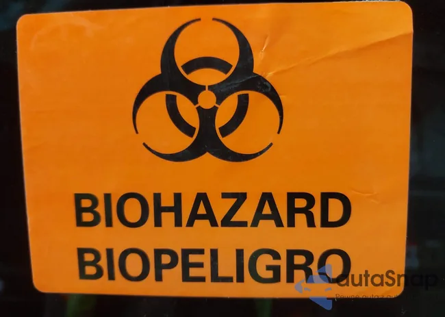 4T1BK3DBXCU449582: 44246905