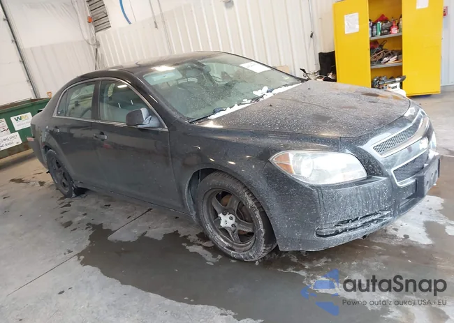 1G1ZA5E09CF323337: 44246970