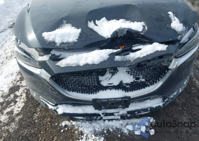 JM1GL1TY9M1613117: 44247159