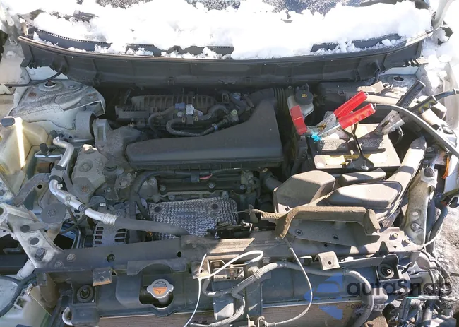 5N1AT2MV5EC861768: 44248558