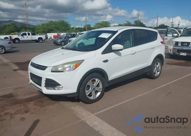 1FMCU9GX3DUB16831: 44247980