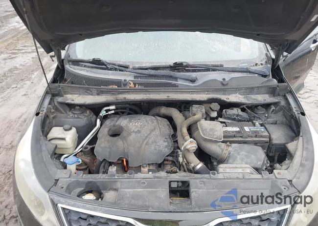 KNDPCCA6XB7116875: 44249300