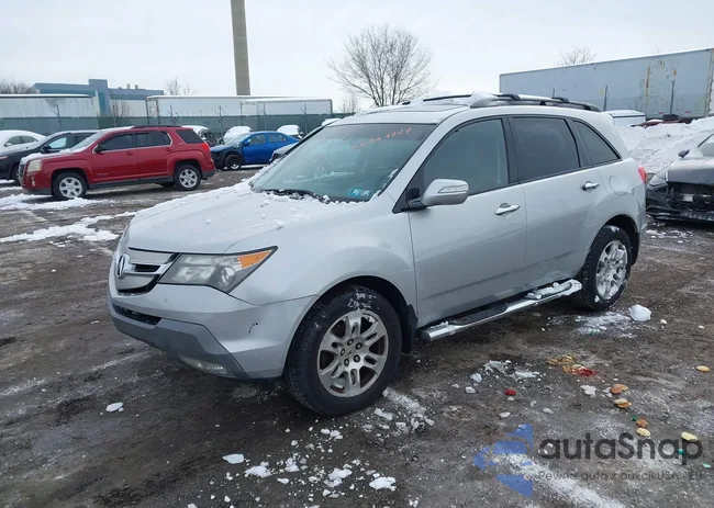 2HNYD28249H519659: 44249307