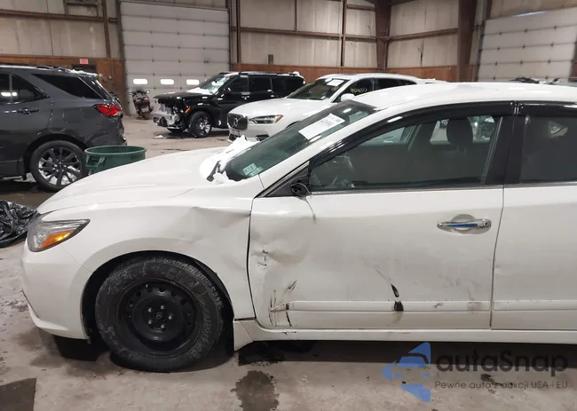 1N4AL3APXGC264561: 44249381