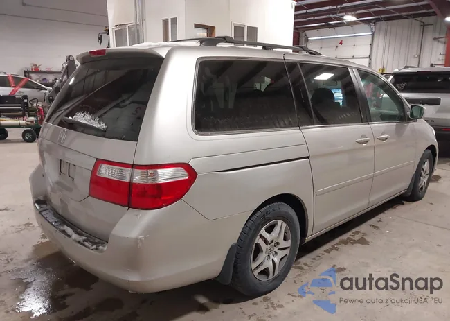 5FNRL38797B410325: 44249422