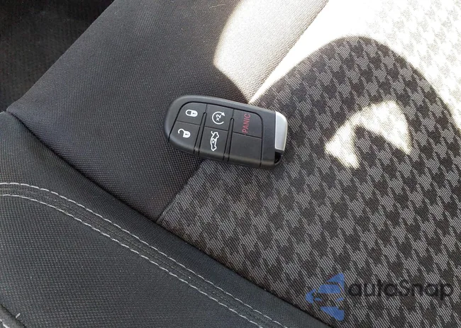 2C3CDZAG6LH231555: 44249633