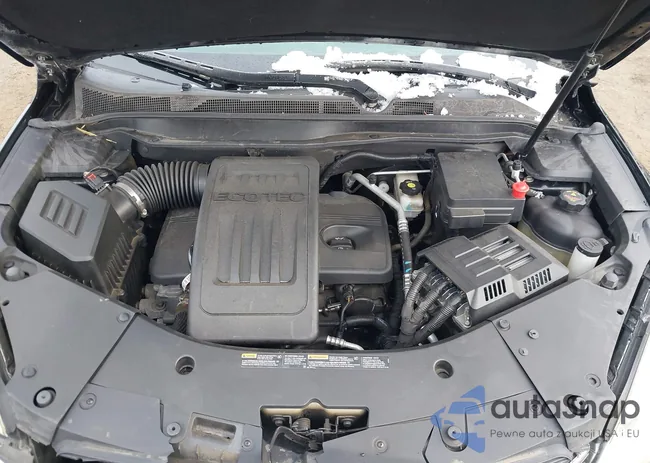 2GNFLEEK9G6135897: 44249757