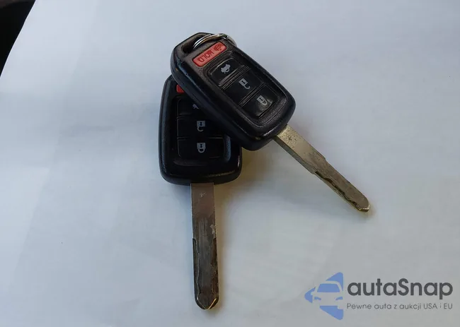 19XFB2F51FE031955: 44249769