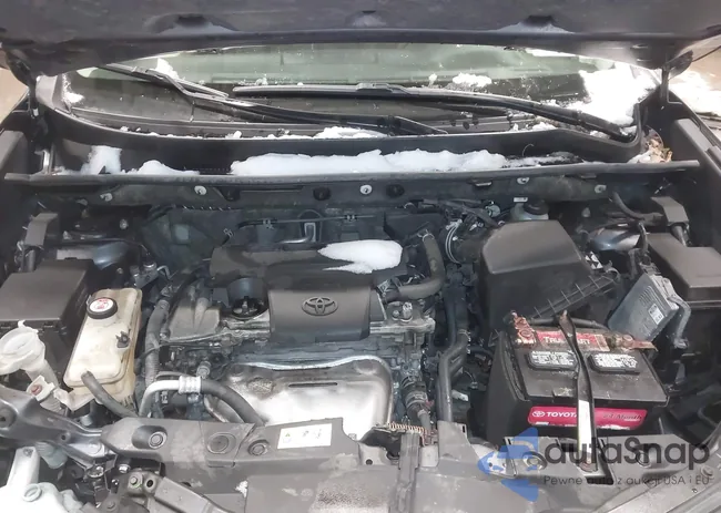 JTMBFREV4JJ190106: 44249807