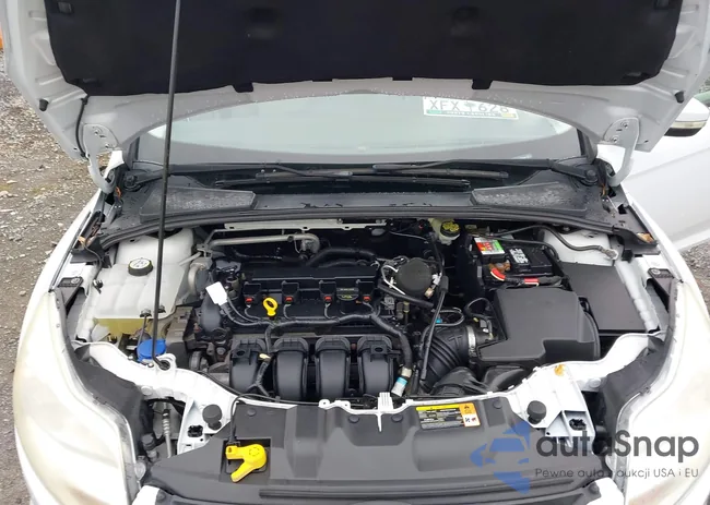 1FADP3F20EL135448: 44249088