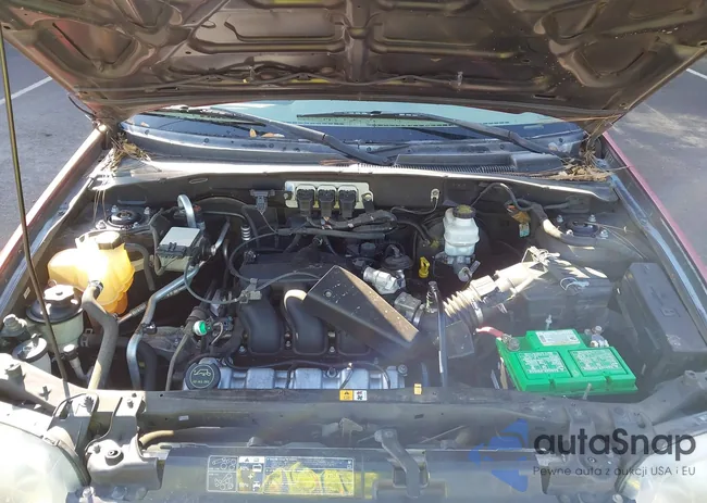 1FMYU94176KA37439: 44249135