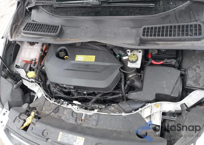 1FMCU0GX0EUB81651: 44249198